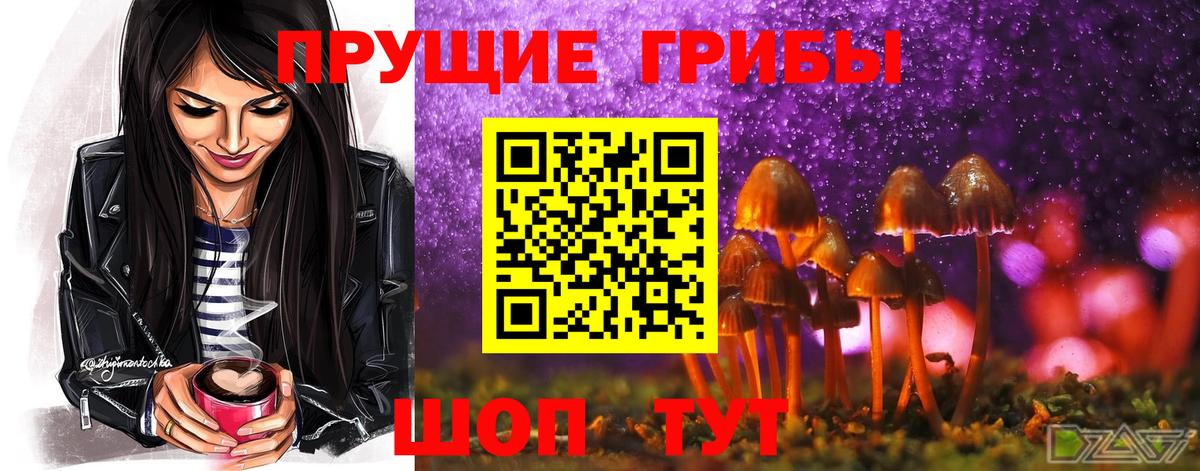 Галлюциногенные грибы мухоморы  купить наркотики сайты  Галлюциногенные грибы мицелий  Владимир  Вход с VPN 